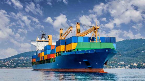 ©Federico Rostagno (– Adobe Stock) - TotalEnergies A containership on waters with a leafy mountain in the background and blue skies