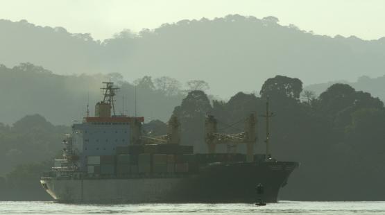 ©TotalEnergies - Mark Carroll - stock.adobe.com Picture of a ship on a river in the forest